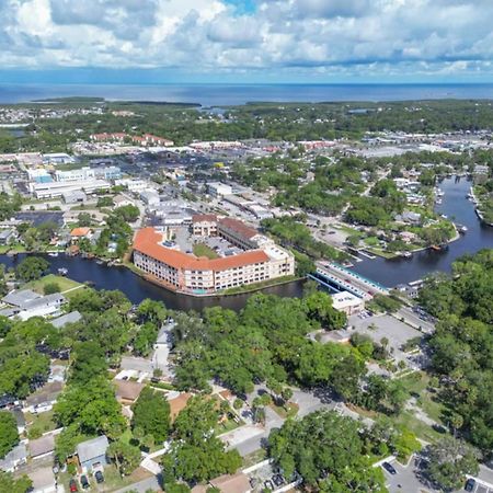 Walk Everywhere! 1-Bedroom Gem In Downtown Hub New Port Richey Extérieur photo
