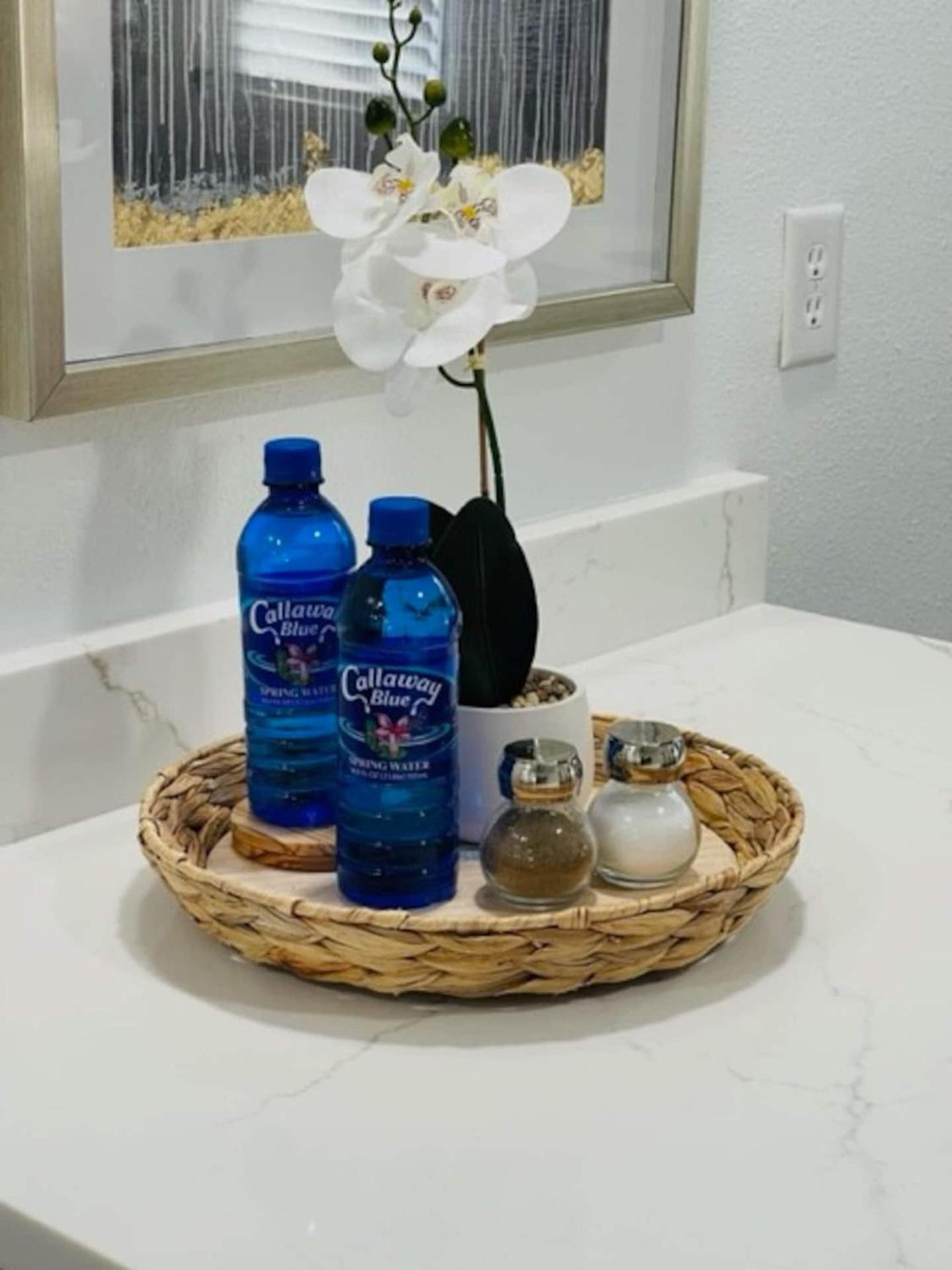 Walk Everywhere! 1-Bedroom Gem In Downtown Hub New Port Richey Extérieur photo