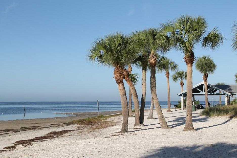 Walk Everywhere! 1-Bedroom Gem In Downtown Hub New Port Richey Extérieur photo